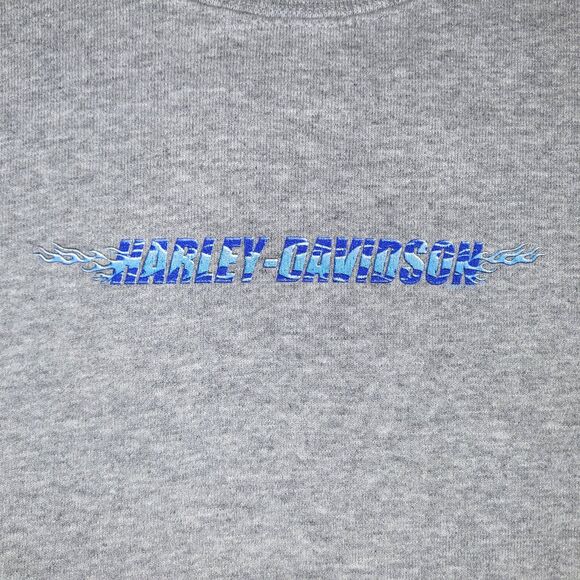 Harley-Davidson Boys XL Gray Crewneck Sweatshirt Y2K De-Lux - Picture 2 of 10